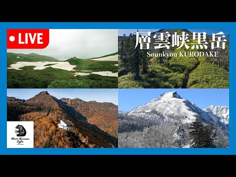 北海道-上川町,大雪山國家公園,層雲峽,哥倫比亞黑山咖啡店