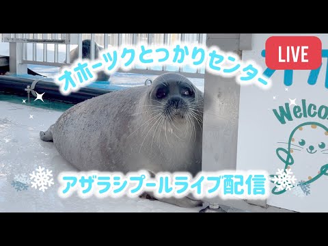 北海道-紋別鄂霍次克海豹中心