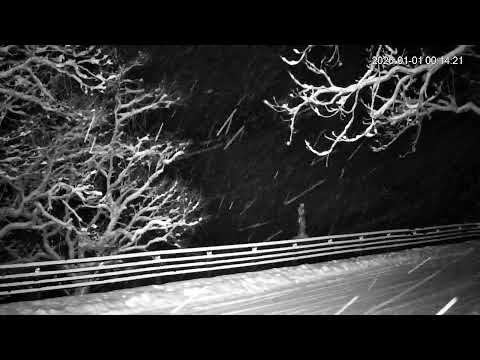 秋田縣-田澤湖,辰子像