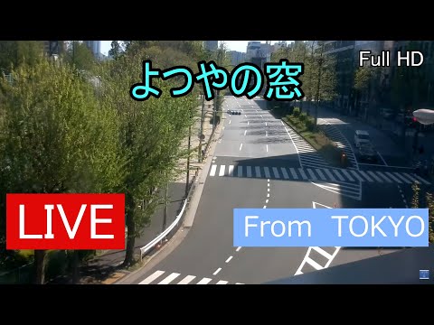 東京新宿區-四谷,外濠公園野球場