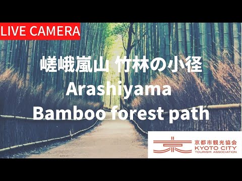 日本京都府-嵐山竹林小徑