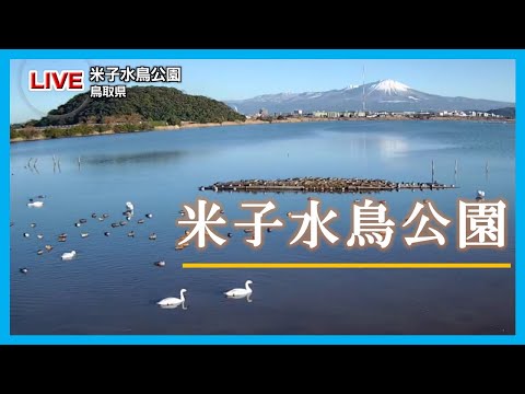 日本鳥取縣-野鳥雲集的米子水鳥公園📵