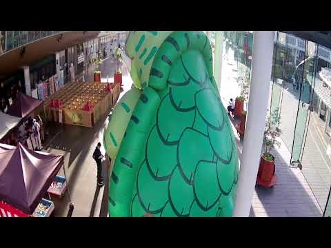 日本福井縣-福井市,氧氣露台
福井市活躍交流設施Hapiterrace