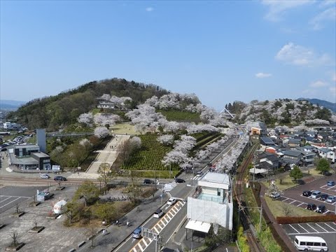 日本福井縣-西山公園-日本の歴史公園100選