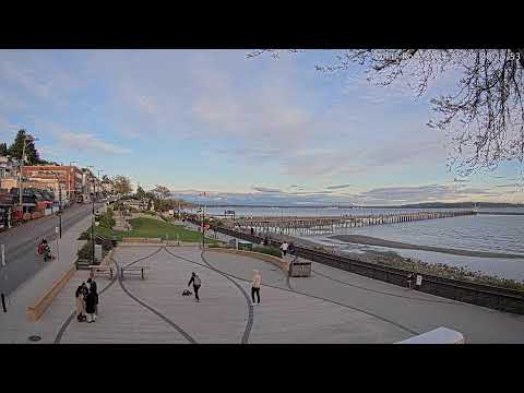 加拿大白石海邊 WhiteRock