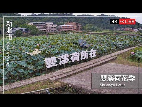 新北雙溪,雙溪荷花園
