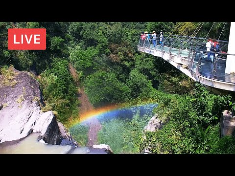 桃園復興-小烏來天空步道🔄