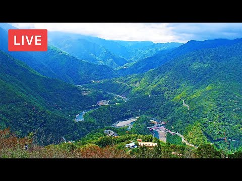 桃園復興-三龜戲水觀景平台🔄