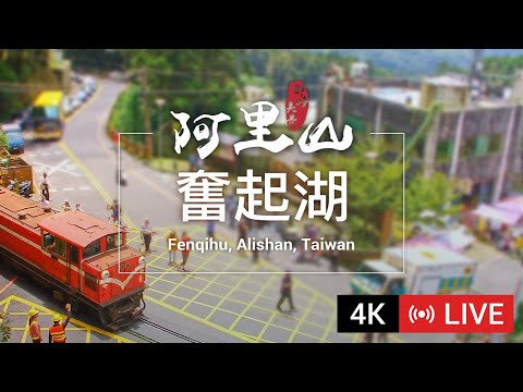 嘉義竹崎-阿里山奮起湖車站🔄