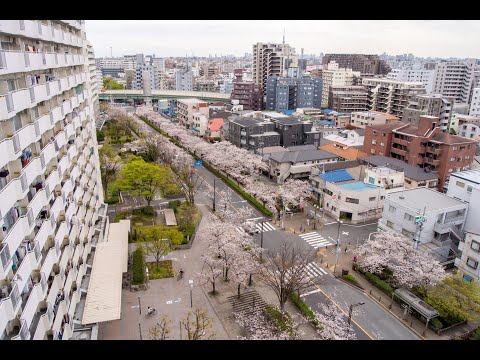 東京足立區-葛西運河,市區街景