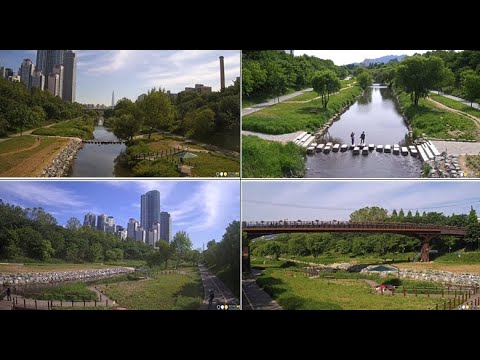 南韓-首爾,江南-良才川