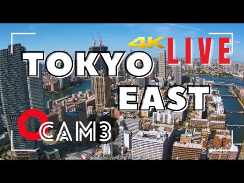 東京-中央區市區高空景色
