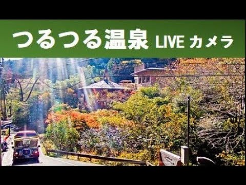 東京都日之出町-滑順溫泉つるつる温泉🔄