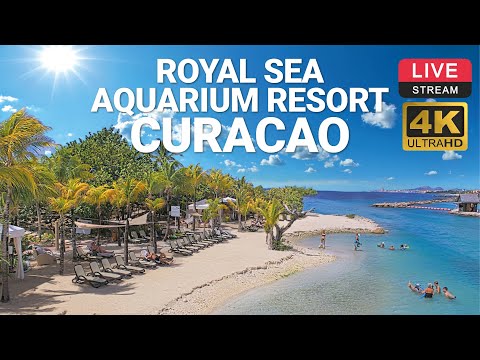 庫拉索-The Royal Sea Aquarium Resort渡假村海灘美景🔄