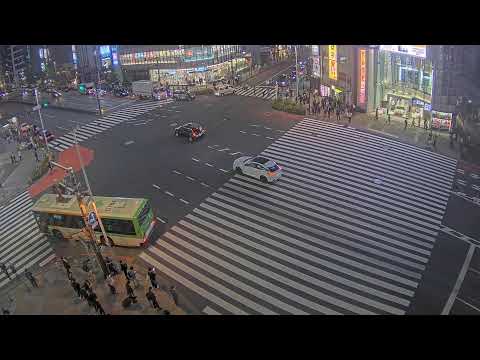 東京新宿-Big Guard十字路口