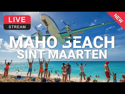 聖馬丁-Maho Beach 瑪侯海灘( 觀賞飛機起降最近距離)🔄