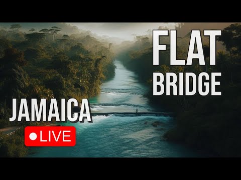 牙買加-平橋Flat Bridge🔄