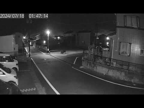 福島磐誠市-海貓商店外街道